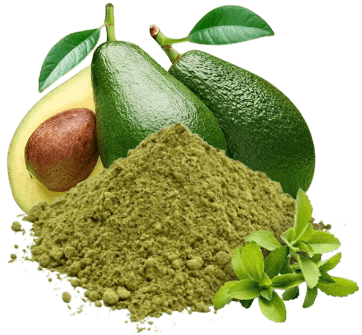 avocado-leaf-powder