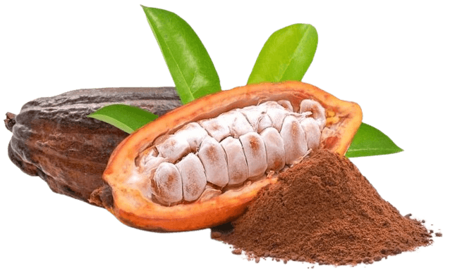 cocoa produce