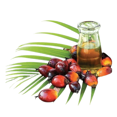 palm produce