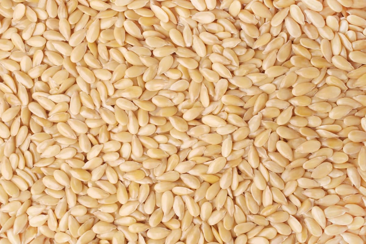 sesame-seeds